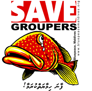 Save Groupers